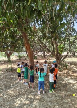 Top School in Alamagh (5)-min